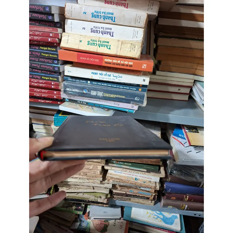 Diễm Tình Ca 712556