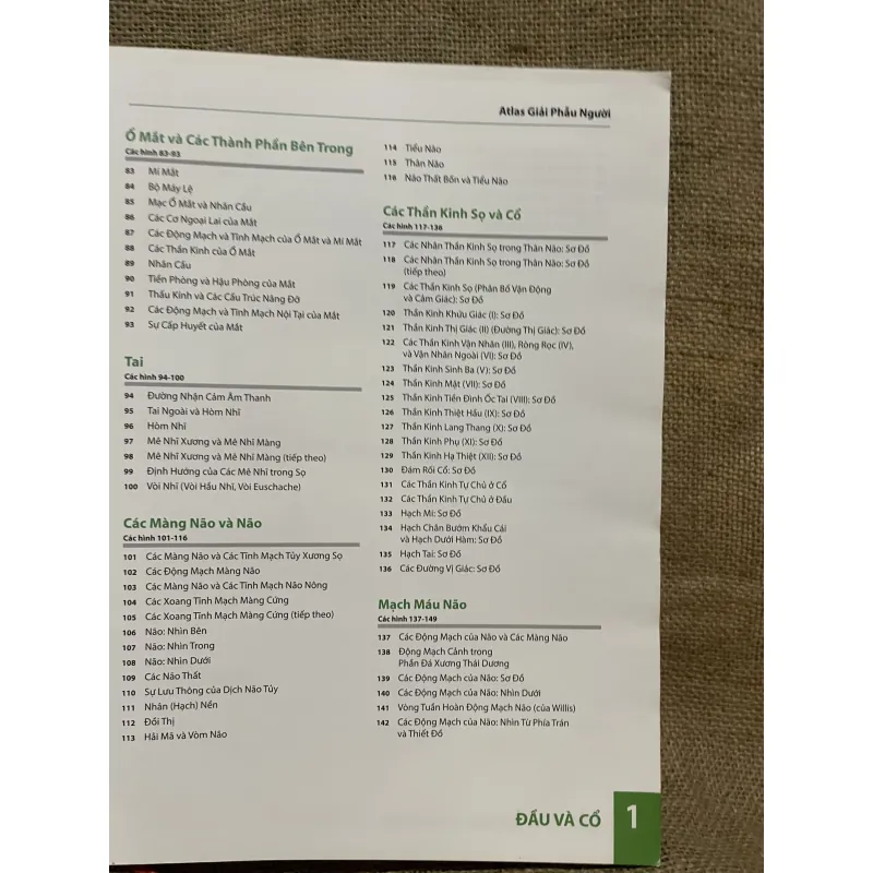 ATLAS GIẢI PHẪU NGƯỜI - FRANK H. NETTER, MD - sách dày, in màu  961604