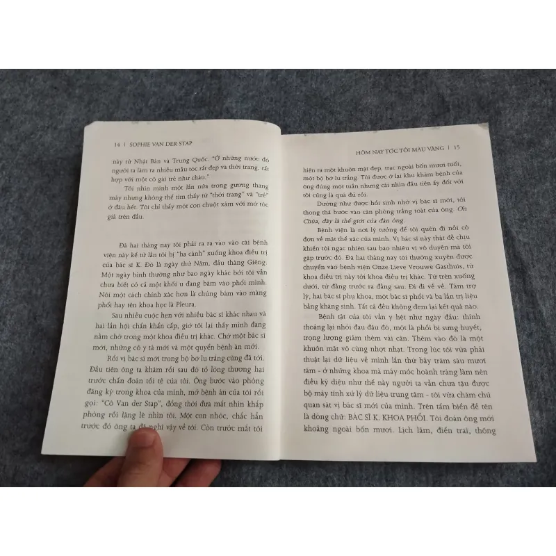HÔM NAY TÓC TÔI MÀU VÀNG - SOPHIE VAN DER STAP 574628