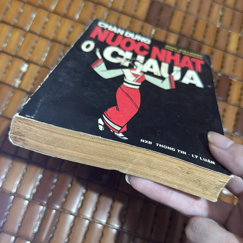 Nước Nhật ở Châu Á 519655