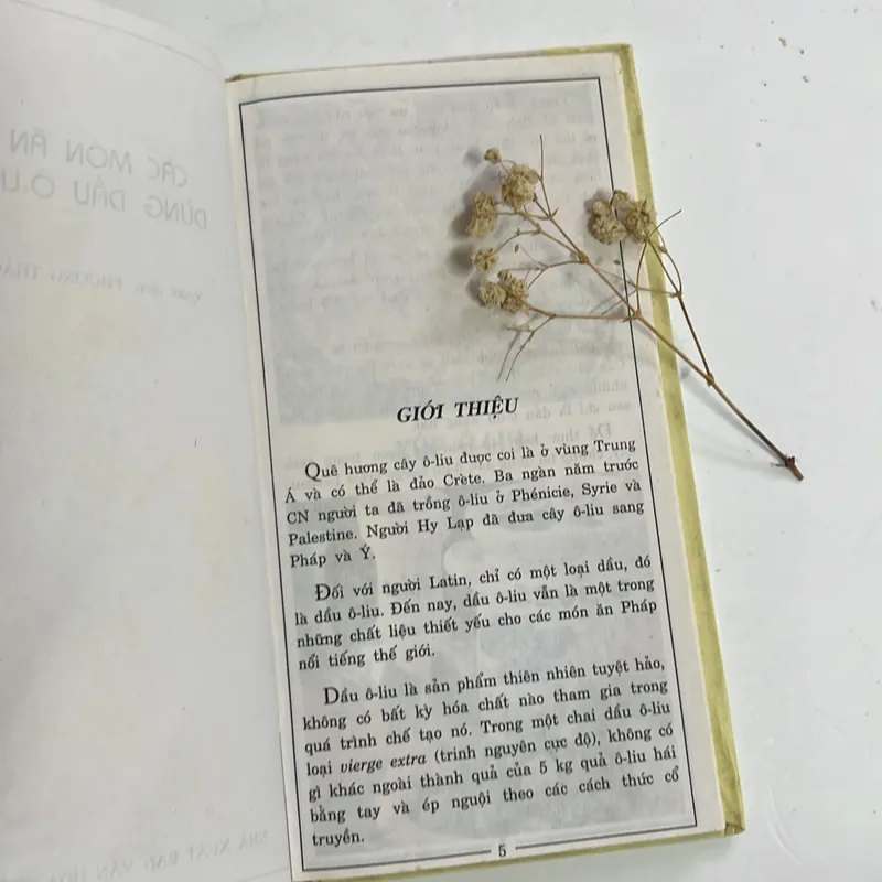Bán sách cũ – Các món ăn dùng dầu Ô-liu – Song Hồng (biên tập) 594777