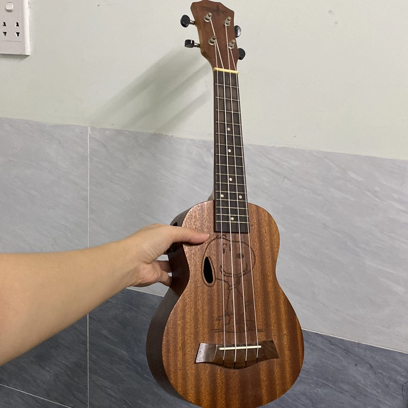 Đàn Ukulele size 21 503025