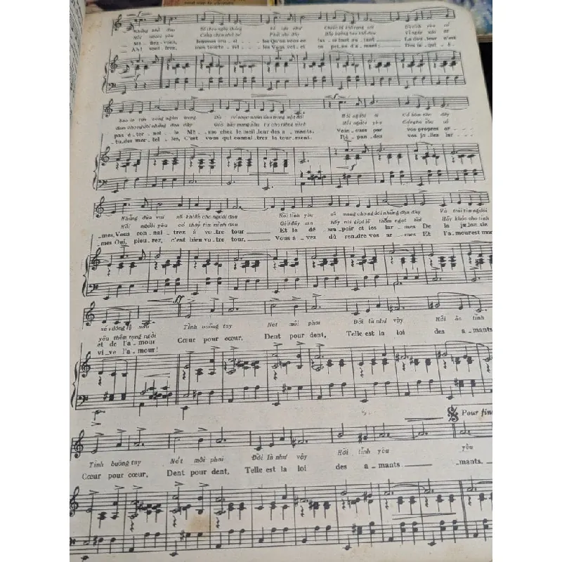 Những tình khúc muôn đời của nhân loại 727088