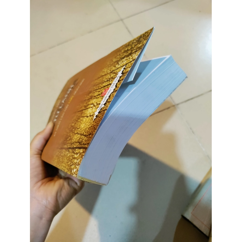 Tuyển tập Lê Tư Lành 452662