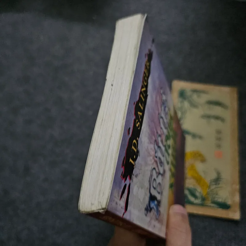 Bắt trẻ đồng xanh - Salinger 733941