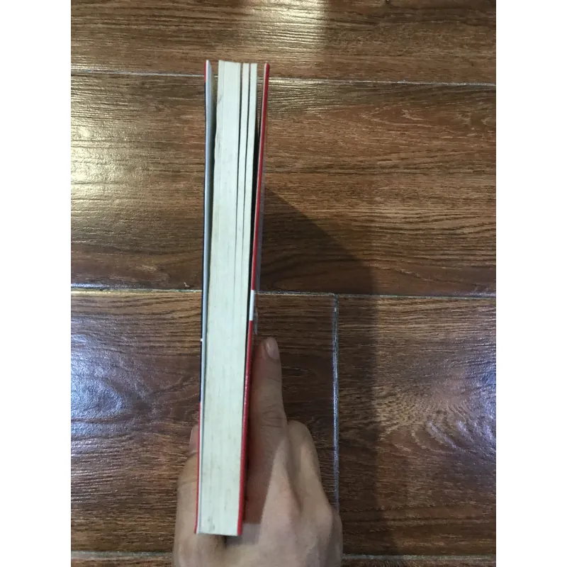 Nguyên lý Kim tự tháp Minto (8) 315804