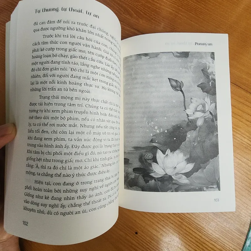 Tự thương, tự thoát, tự an 926736