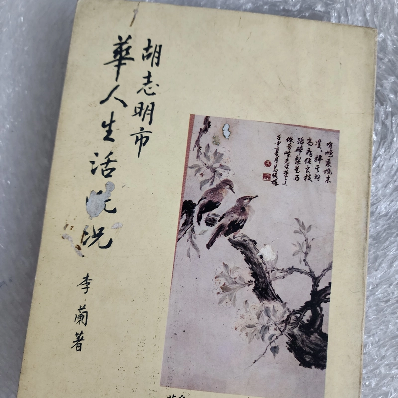 Chân dung người Hoa | Lý Lan 459864