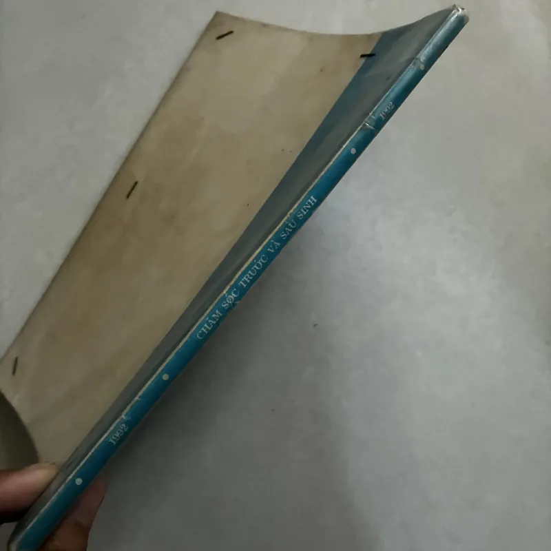 Chăm sóc trước và sau sinh - 1992s 1009080