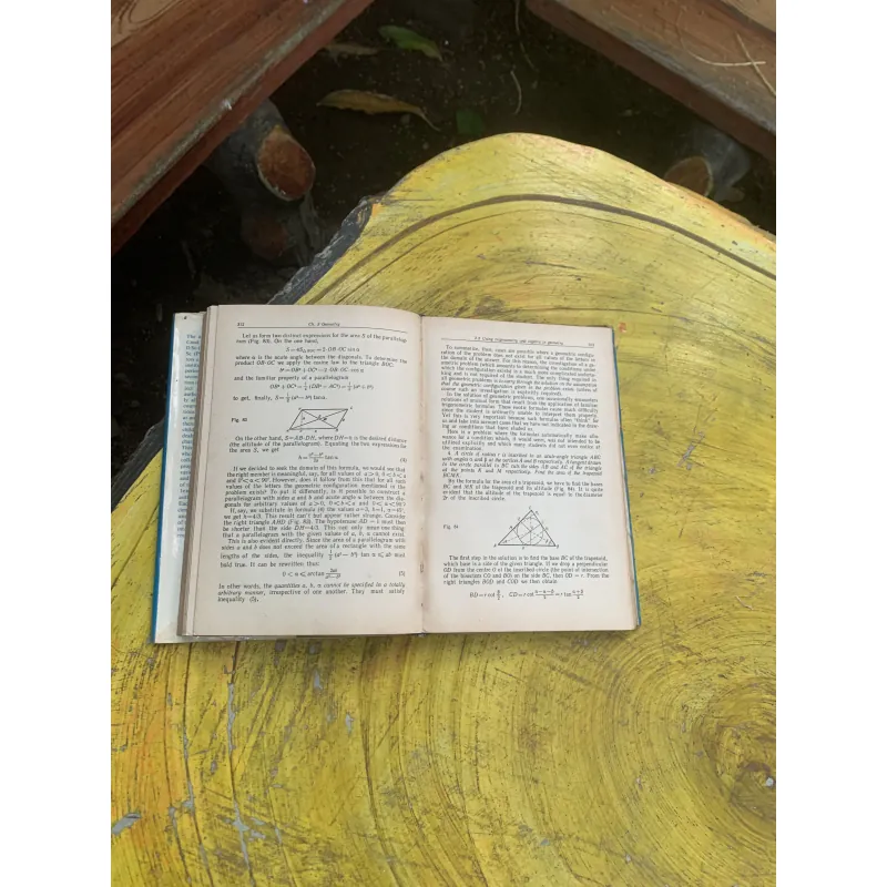 ELEMENTARY MATHEMATICS- G. DOROFEEV- M. POTAPOV- N. ROZOV 760963