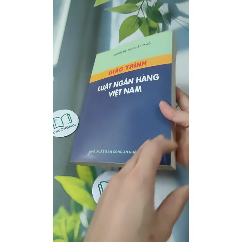 Giáo Trình Luật Ngân Hàng Việt Nam 727229