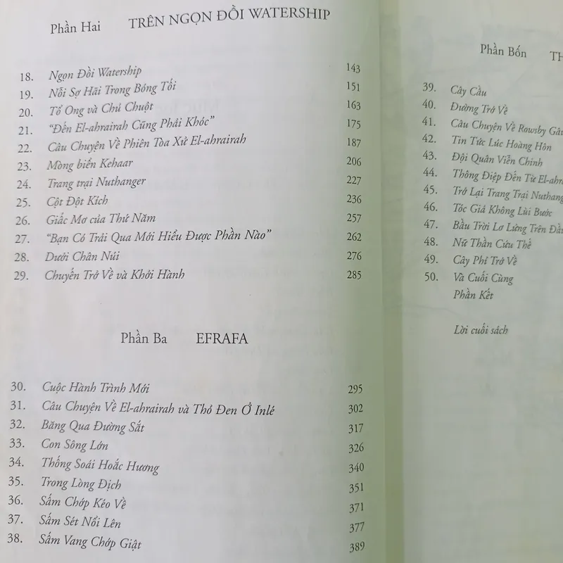 Đồi thỏ    589112