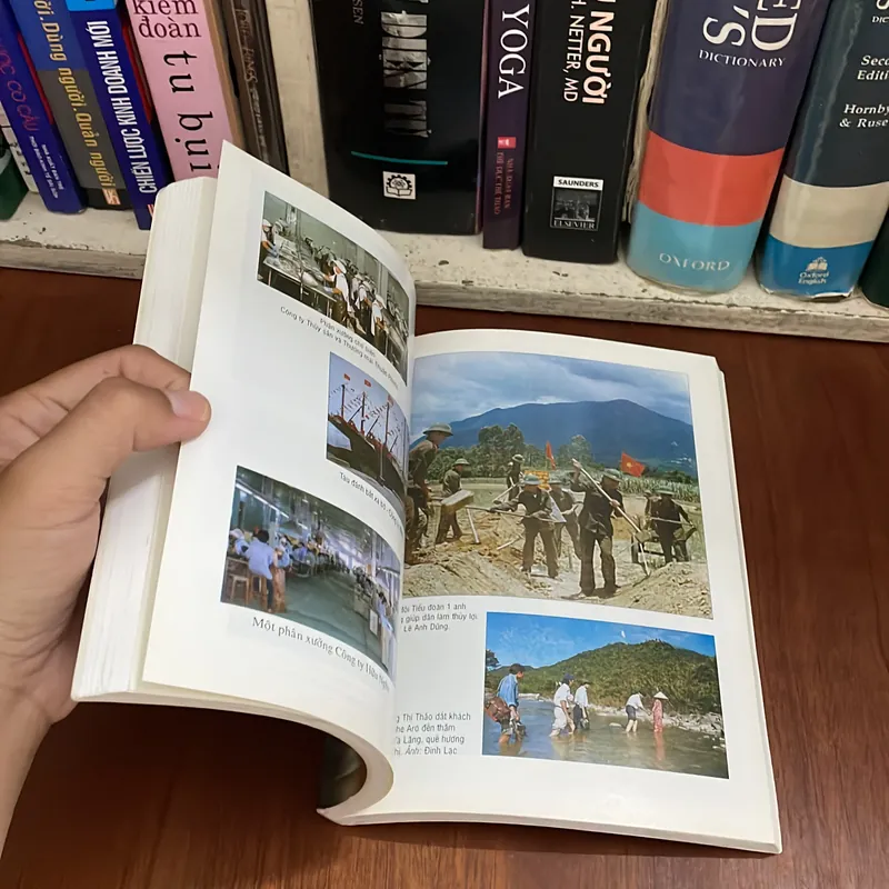 II Tựa sách: Như Hạt Cát Như Dòng Sông - Nhiều Tác Giả - 2000 562828
