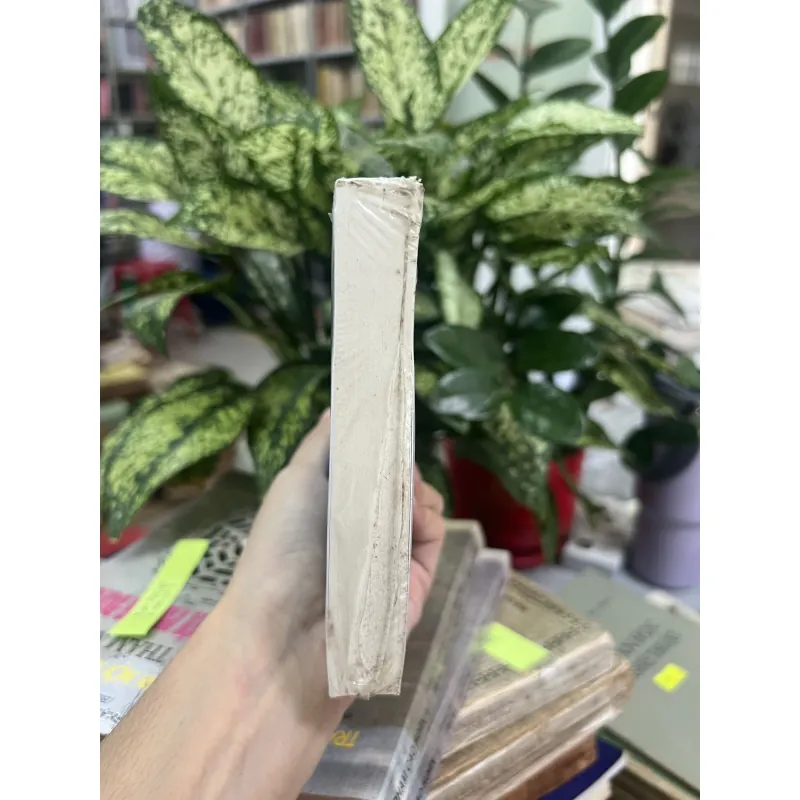 CÔ GÁI NHÀ BÊN - QUỲNH TRÂM 1010116