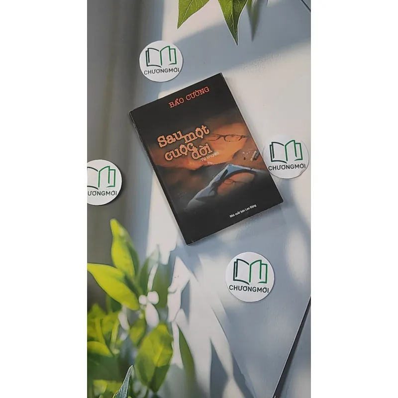 Sau Một Cuộc Đời - Bảo Cường 798321