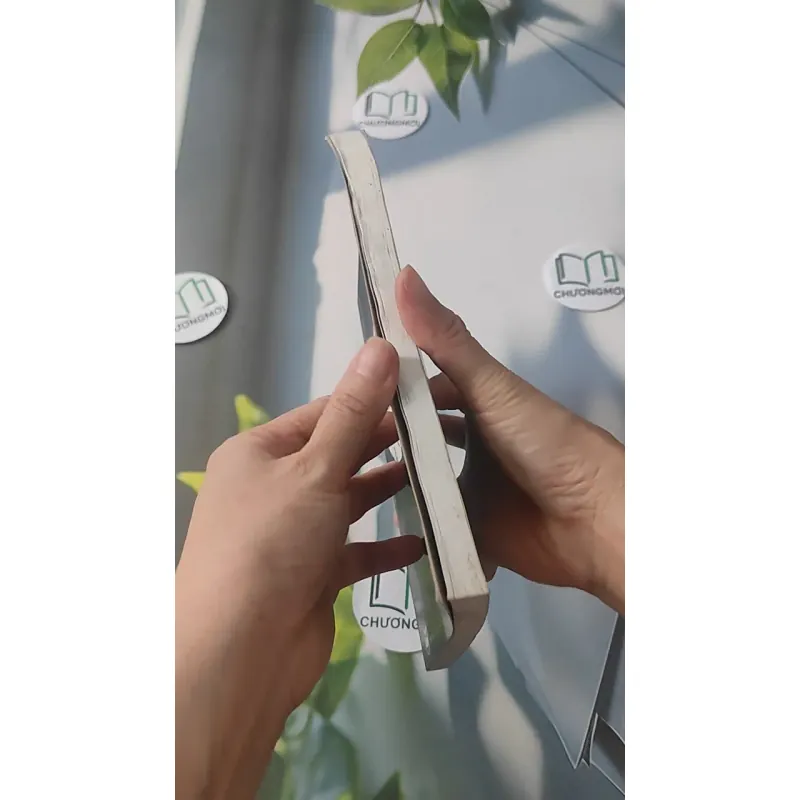 Thế Giới Tình Cảm Của Mao Trạch Đông - Tôn Hồng Quân & Vương Tú Hà 928492