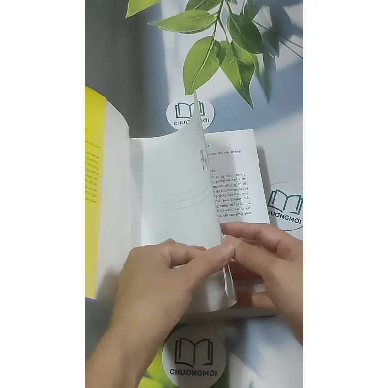 Sự nhầm lẫn tai hại - Bộ Vi Lan 688633