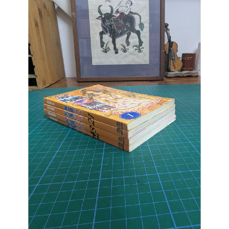 Truyện tranh sức mạnh tình yêu - Sakisaka Mea 533452