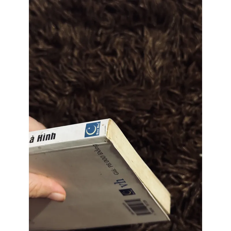 Combo Là bóng hay là hình + đêm trắng 756100