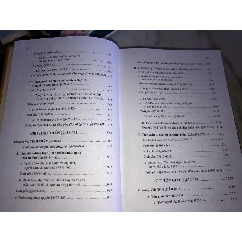 Hiện tượng học tinh thần 791671