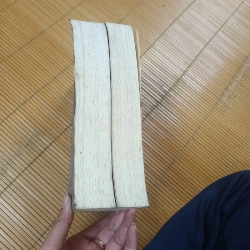 Tôm Jôn Đứa Trẻ Vô Thừa Nhận - Henry Finđinh 968642