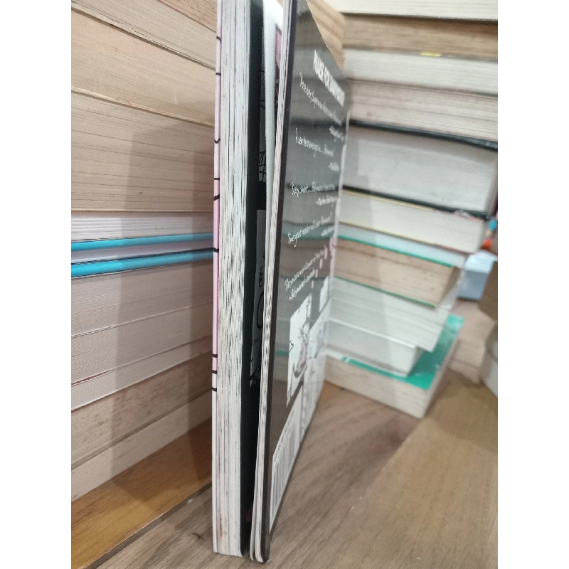 Camp babymouse - Jennifer L. Holm & Matthew Holm 704121