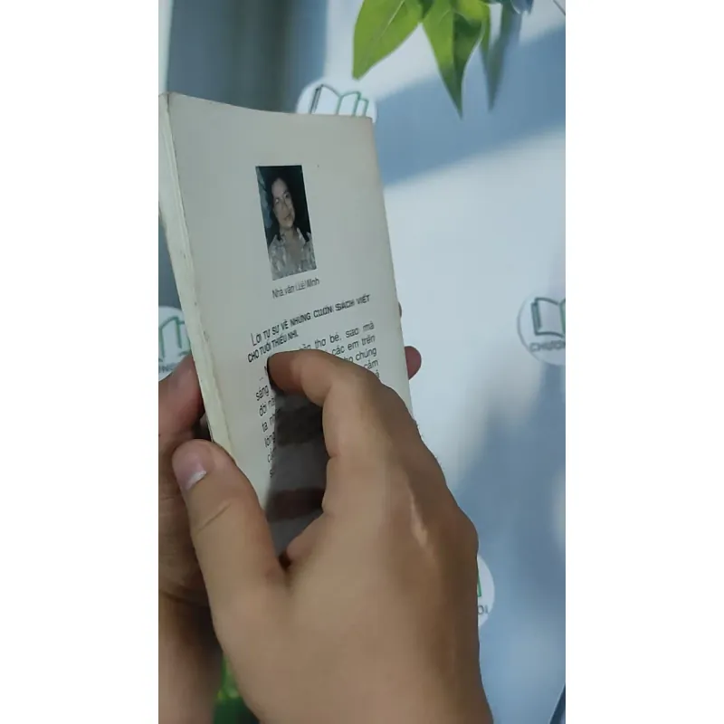 Hạt Chò Chỉ - Lê Minh 798479