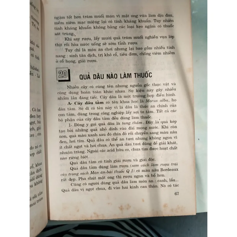 MÓN ĂN BÀI THUỐC - DƯỢC SĨ BÙI KIM TÙNG 996077