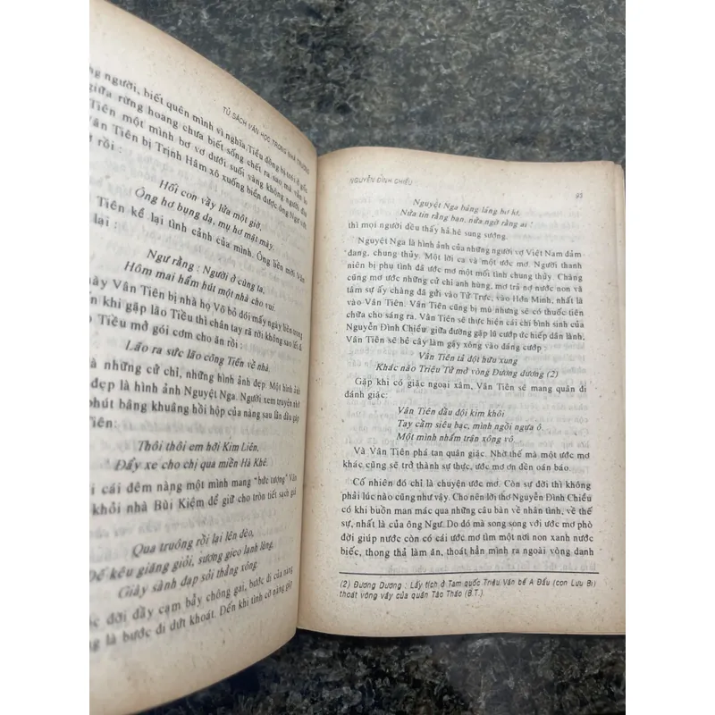 Nguyễn Đình Chiểu P.Ts Hồ Sĩ Hiệp xb1996 713351