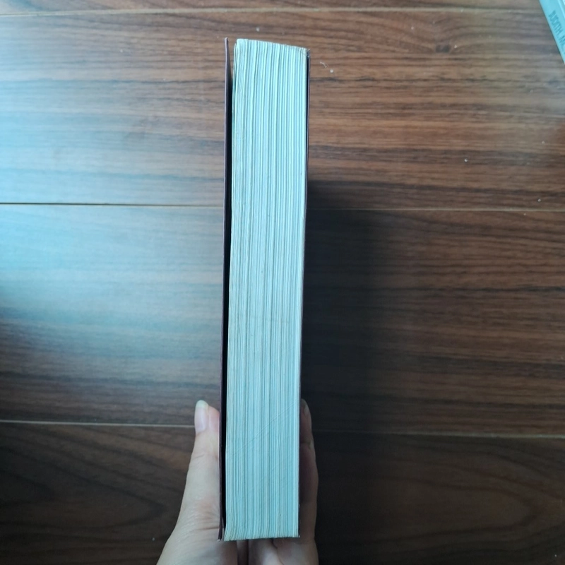 Thanh giươm công lý 505800