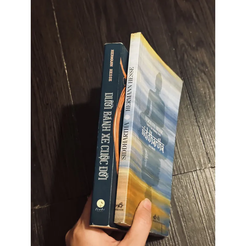 Combo 2c Hermann Hesse 994195