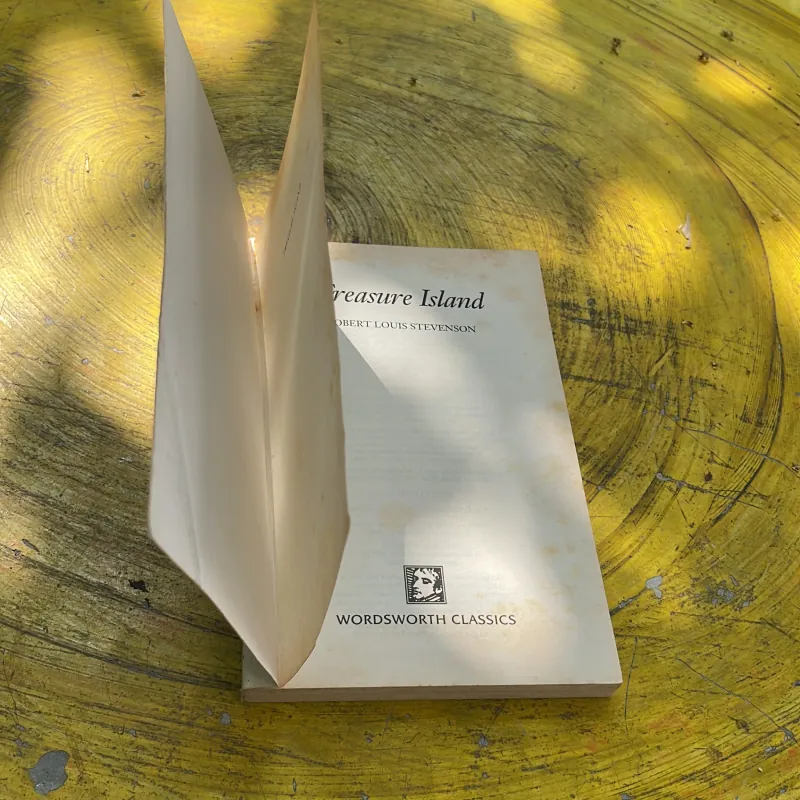 TREASURE ISLAND - ROBERT LOUIS STEVENSON 763428