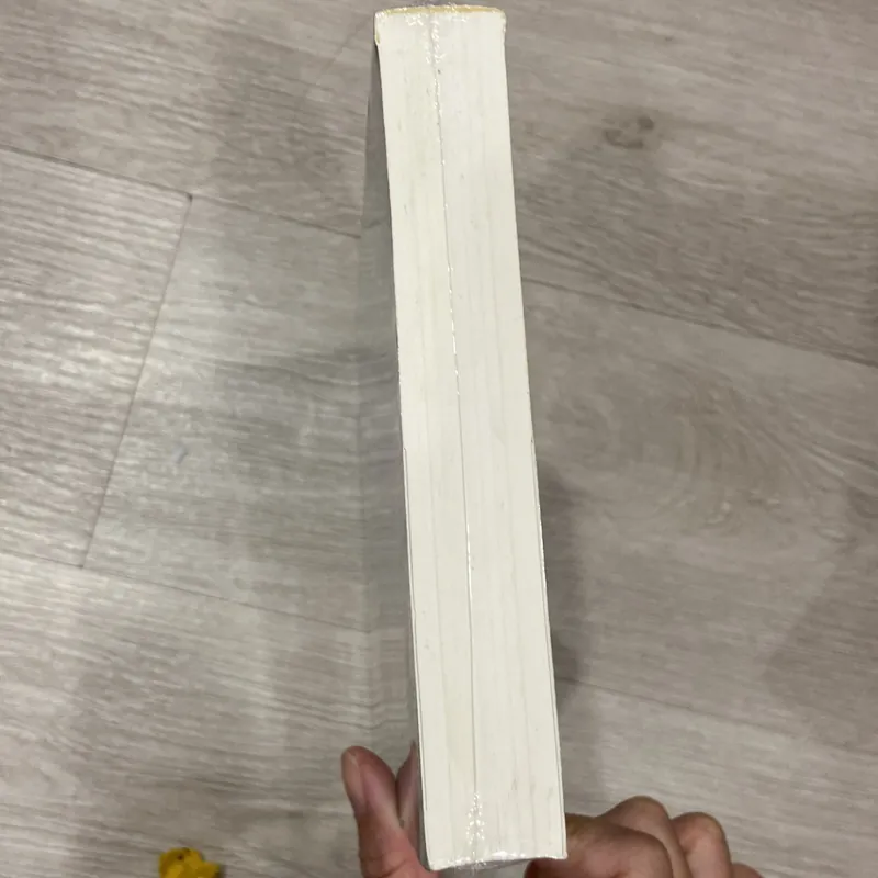 Câu Chuyện Ngày Xuân. 713051