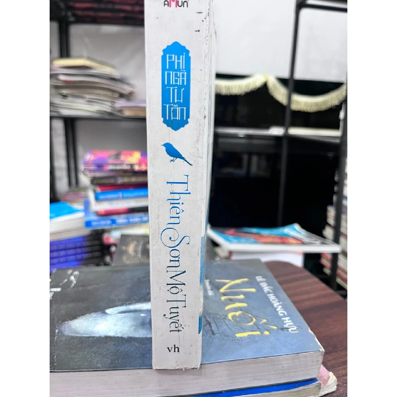 Thiên Sơn Mộ Tuyết - Phi Nga Tú Tôn 933767