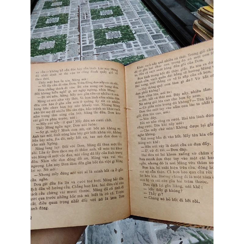 Hoa phù dung núi - Phạm Hữu Tùng 1028042