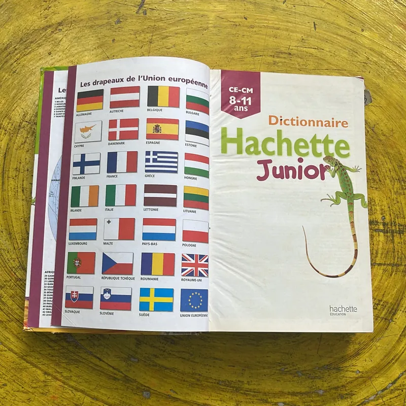 DICTIONNAIRE HACHETTE JUNIOR CE-CM 8-11 ANS 697410