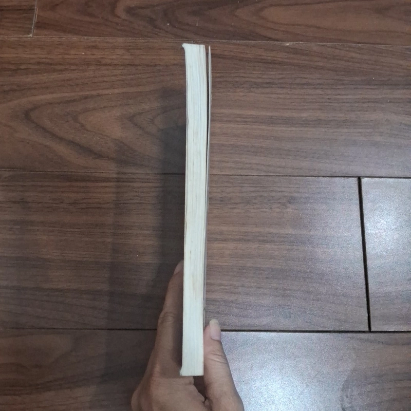 Dưới một mặt trời hung bạo 506954