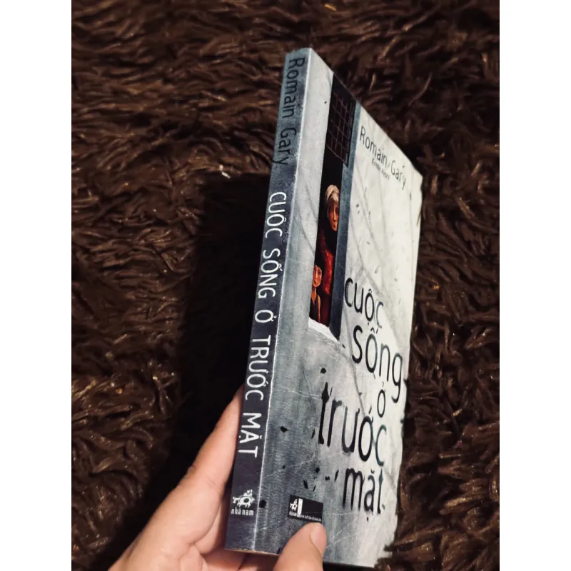 Cuộc sống trước mặt 1003506