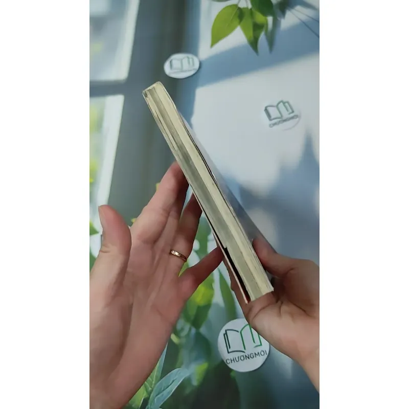 Tìm Thấy & Lại Mất 1018877