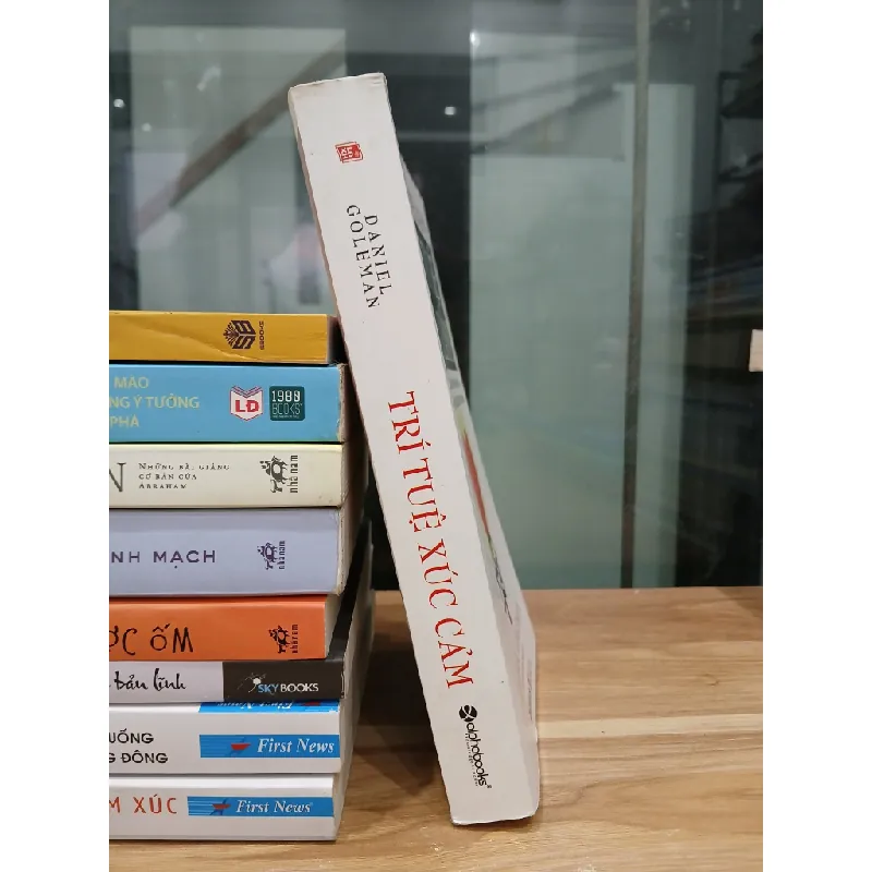 Trí tuệ xúc cảm (Emotional Intelligence) – Daniel Goleman 561539