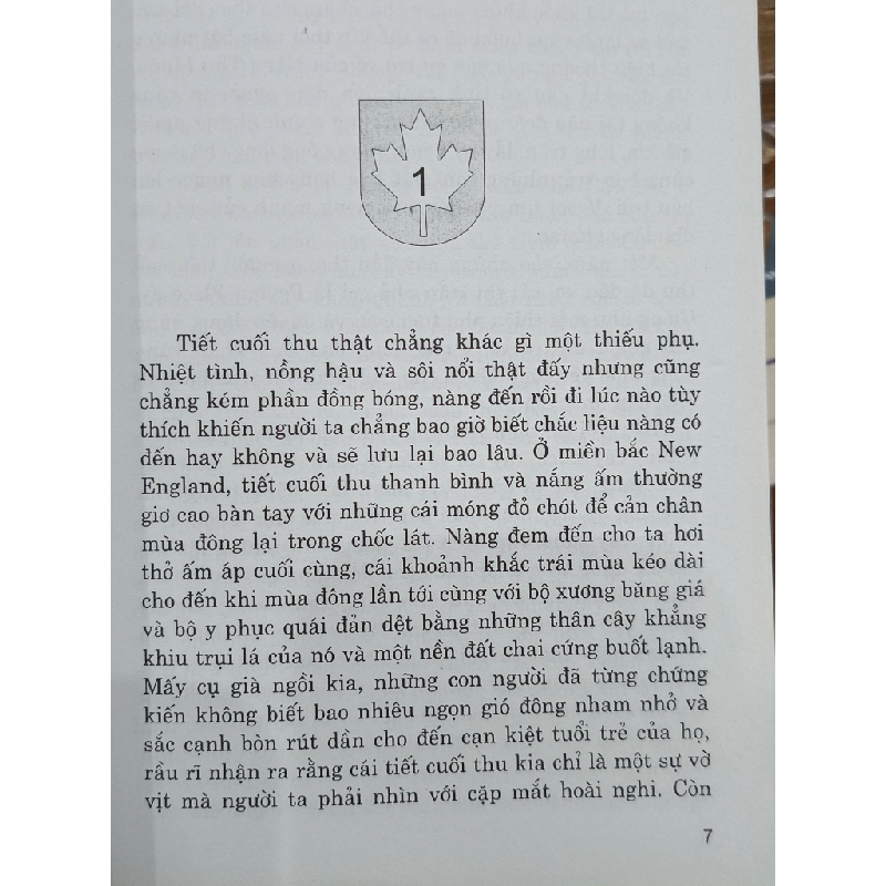 Chuyện về thị trấn nhỏ - Grace Metalious (Tạ Thu Hà dịch) 518761