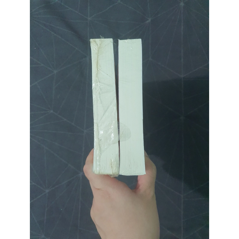 Combo "Tương tư thành nắm tro tàn" (seal) - Tuyết Ảnh Sương Hồn 492901