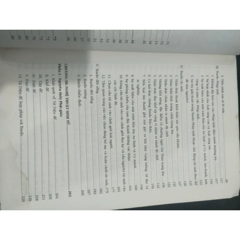 Bardo Bí Mật Nghệ Thuật Sinh Tử 1002044