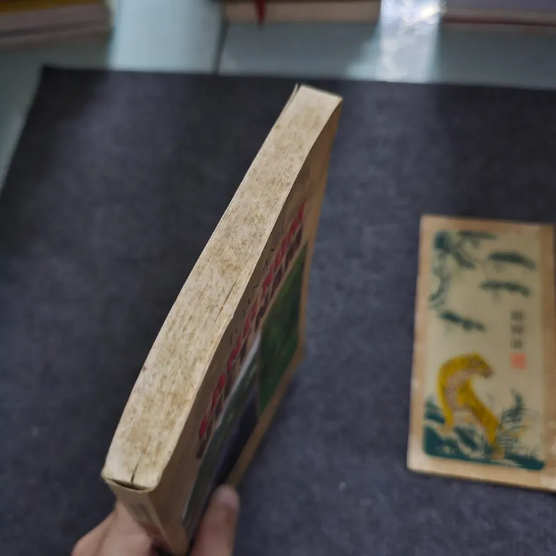 Làng xã việt nam - toan ánh  745445