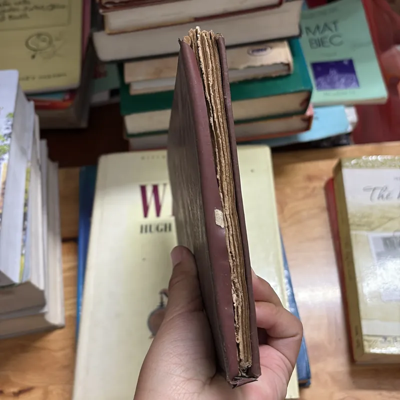 II Sách Phật Giáo: Kinh Địa Tạng - DG. Thích Trí Tịnh - PL. 2534 • 1969 691165