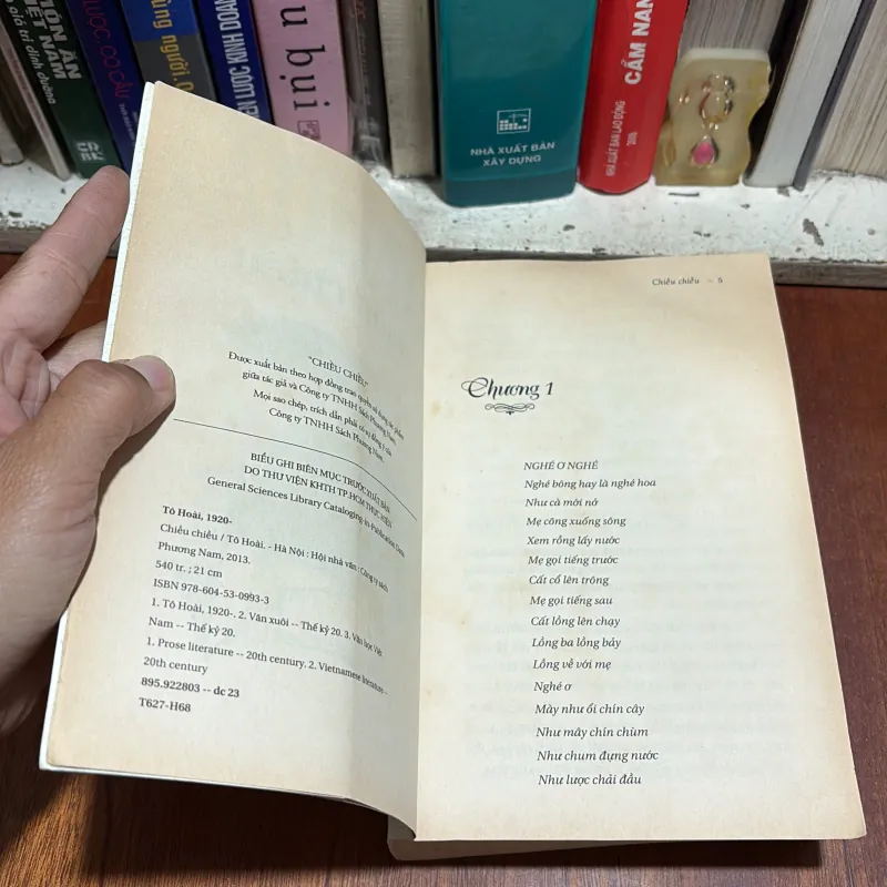 II Văn Học: Chiều Chiều - Tô Hoài - 2014 801141