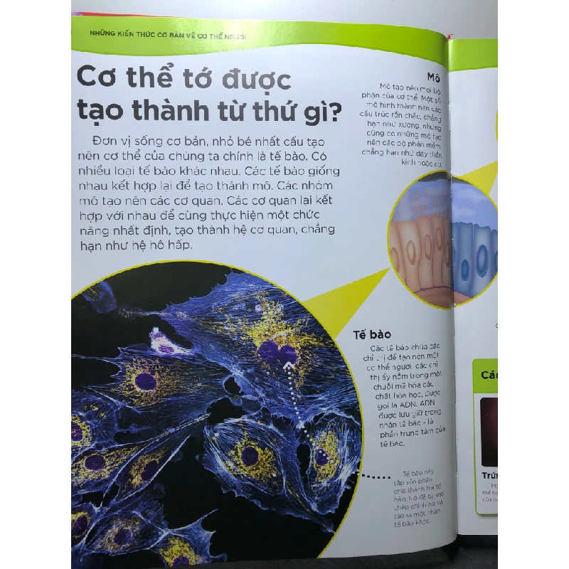 Tại sao máu lại đỏ? 2022 mới 90% BÌA CỨNG DK HPB0508 KHOA HỌC ĐỜI SỐNG 451463