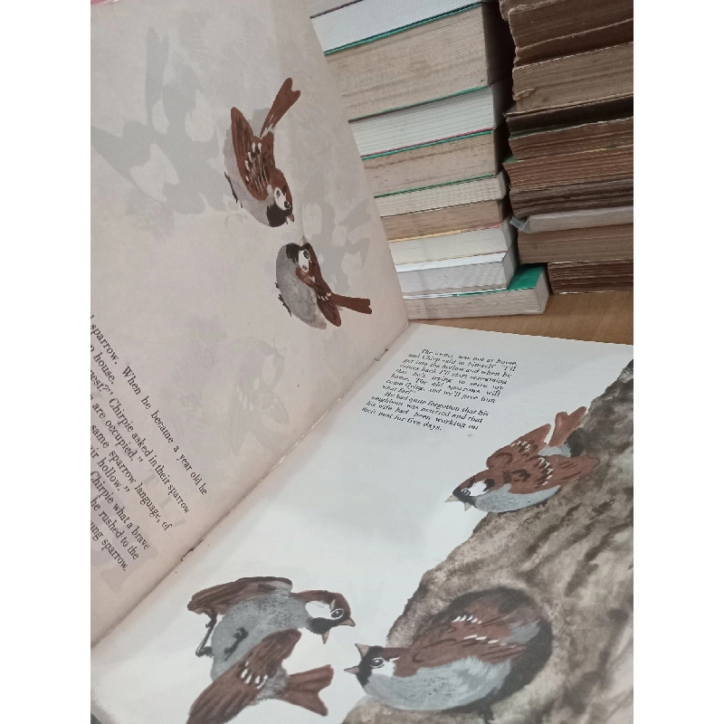 Red Hill - Vitaly Bianki 797799