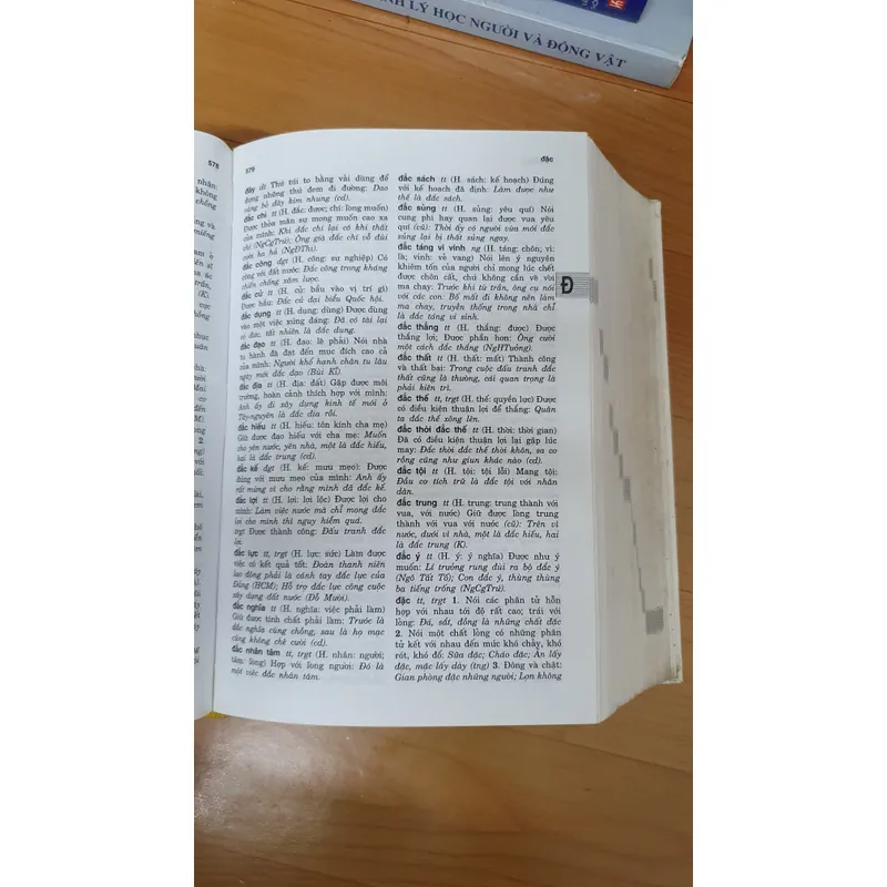 TỪ ĐIỂN TỪ VÀ NGU VIỆT NAM  739093