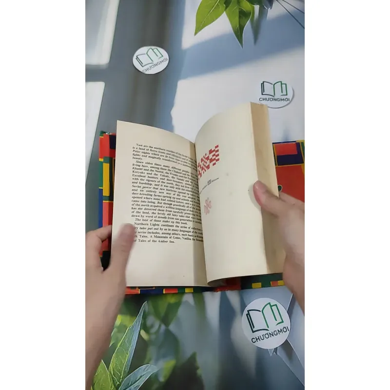 [MIỄN PHÍ BỌC SÁCH] [XƯA] Northern Lights (1980) 990449